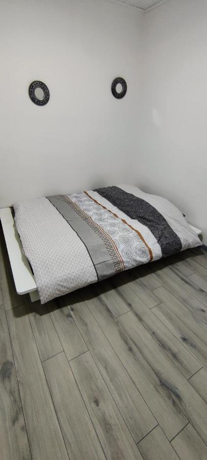 Appartement En Centre Ville Thonon-les-Bains Kültér fotó